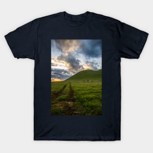 Golden Hour at Mount Elephant, Derrinallum, Victoria, Australia T-Shirt